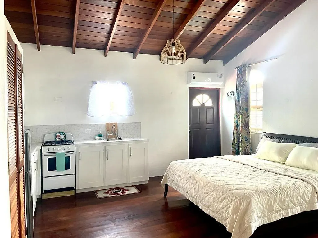 Blr Beach Villas Christ Church